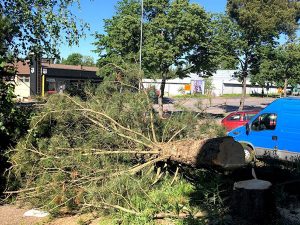 Pihapuunkaatopalvelut Varkauden seudulla - sen Tekee Heke!