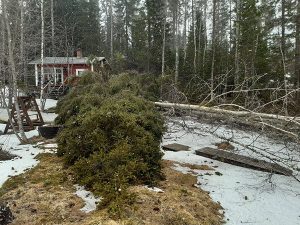 Pihapuunkaatopalvelut Varkauden seudulla - sen Tekee Heke myös vapaa-ajanasunnoilla!