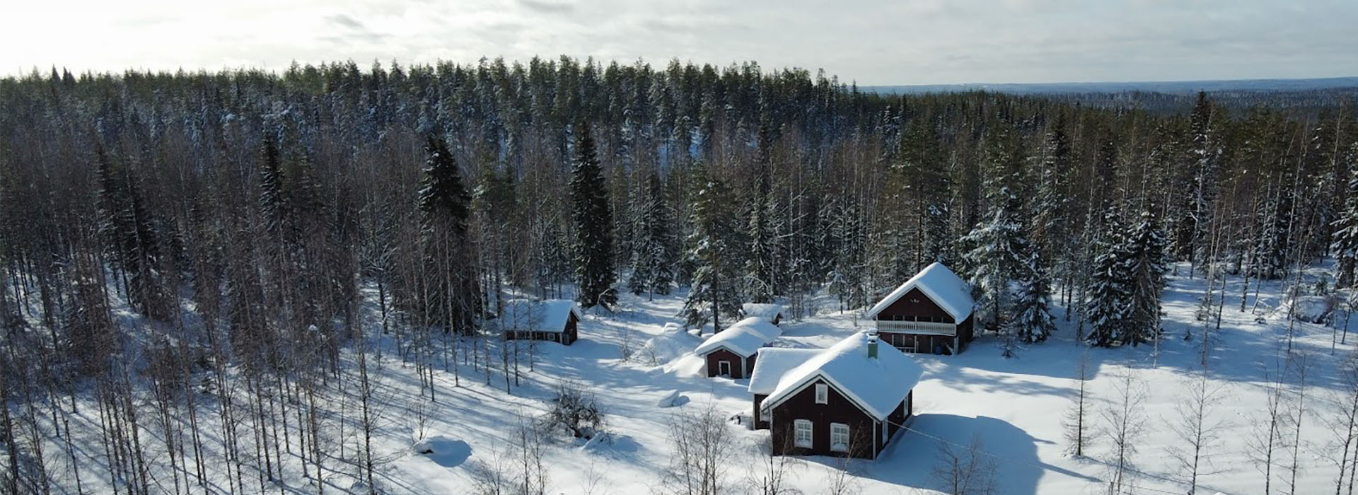 Ilmakuvaukset talvella metsänhoidossa | TekeeHeke - Kuopio, Pieksämäki